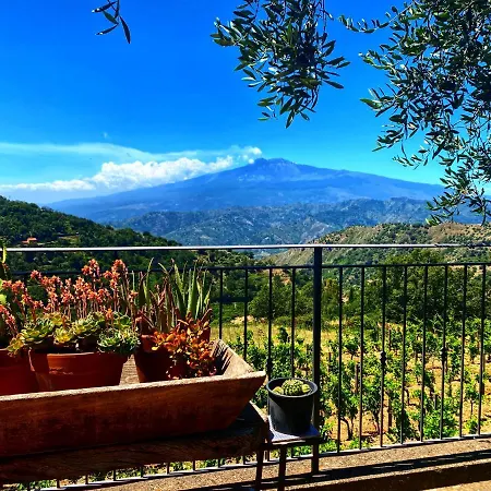 Tenuta Guardavaglia * Кастельмола